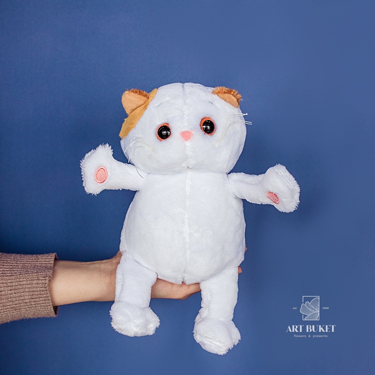 Кошка Лили малыши