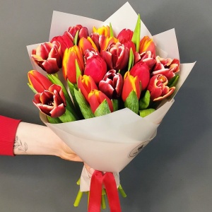 25 тюльпанов в бордовом цвете