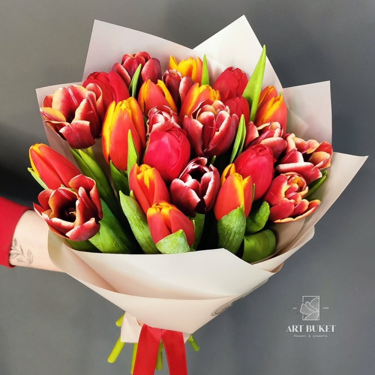 25 тюльпанов в бордовом цвете