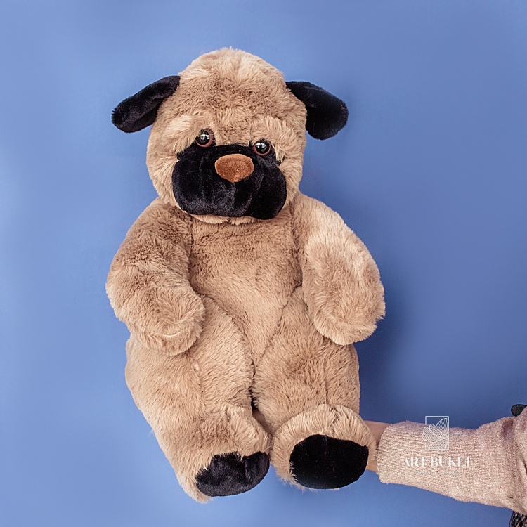 Собака бурая маленькая