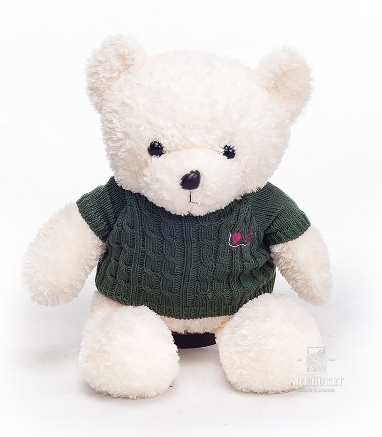 Белый мишка в кофте