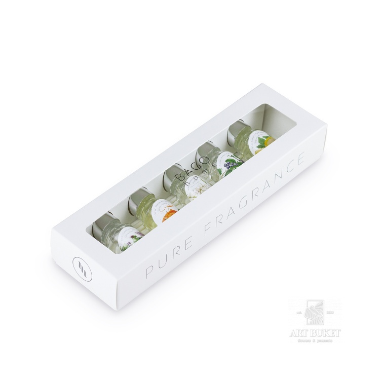 Набор ароматических настольных диффузоров BAGO HOME Акварель (5шт по 10 мл.)