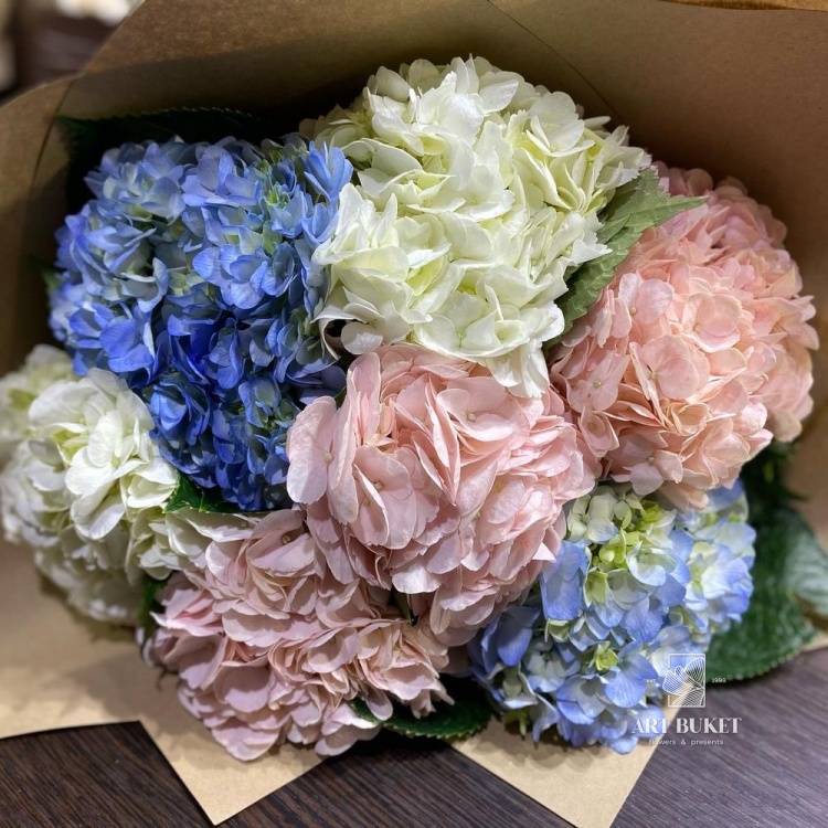 Гортензия Микс 