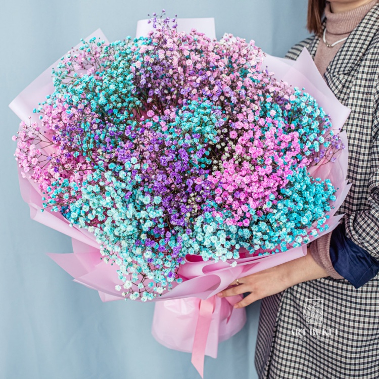 19 радужных гипсофил