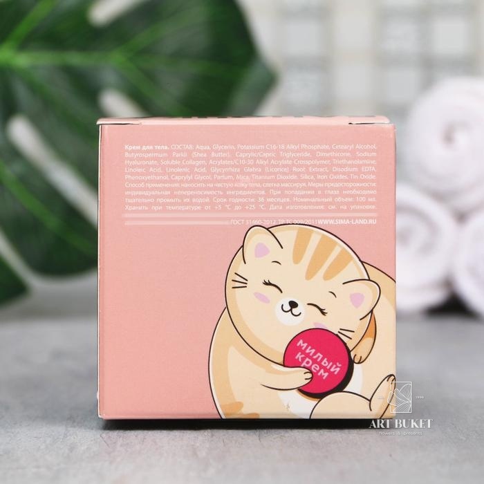 Крем для тела «Баночка милоты», 100 мл, медовый