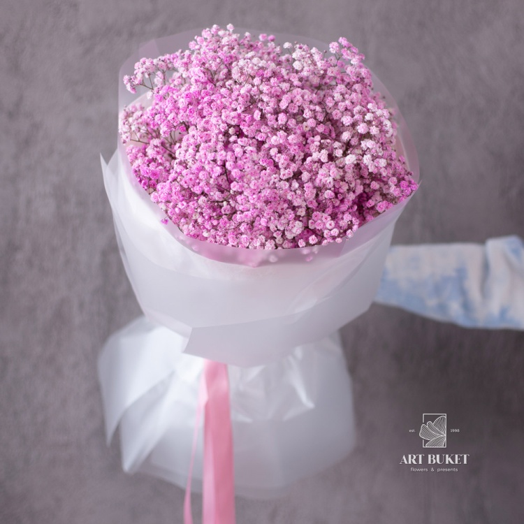 11 веток розовой гипсофилы