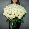 51 голландская роза