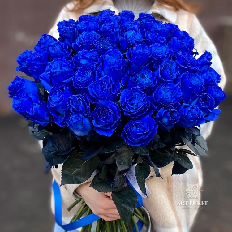 51 голландская роза