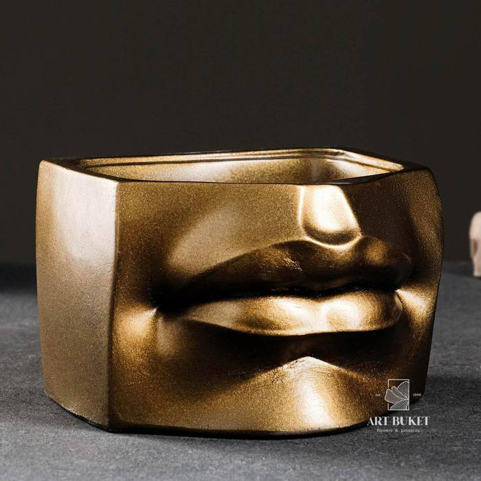 Кашпо - органайзер "Губы Давида" бронза 