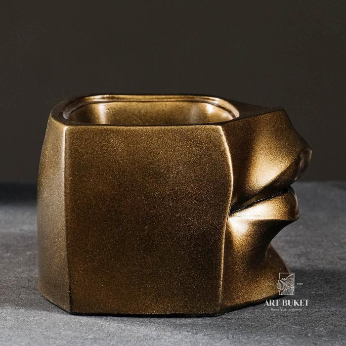 Кашпо - органайзер "Губы Давида" бронза 