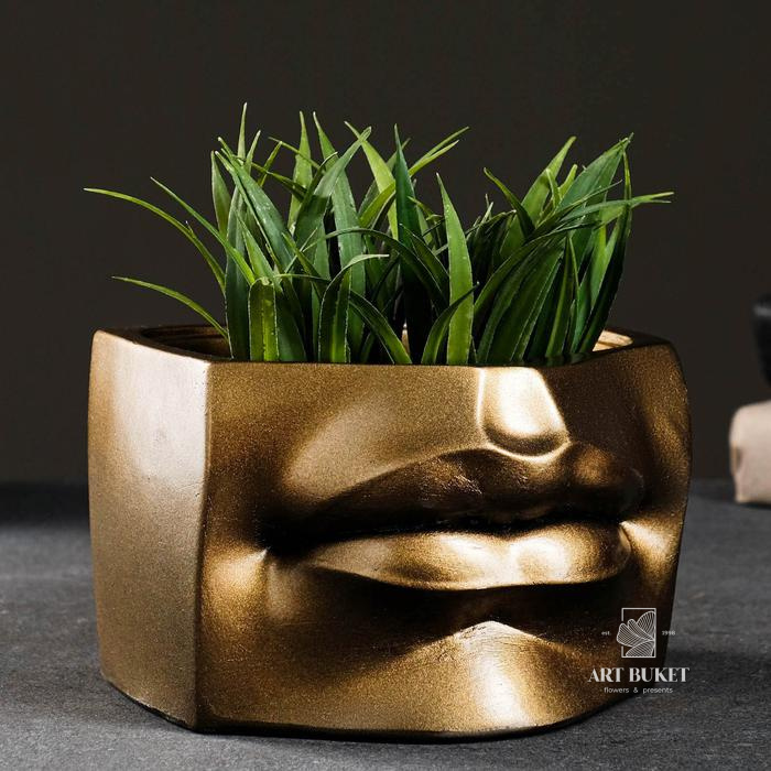 Кашпо - органайзер "Губы Давида" бронза 