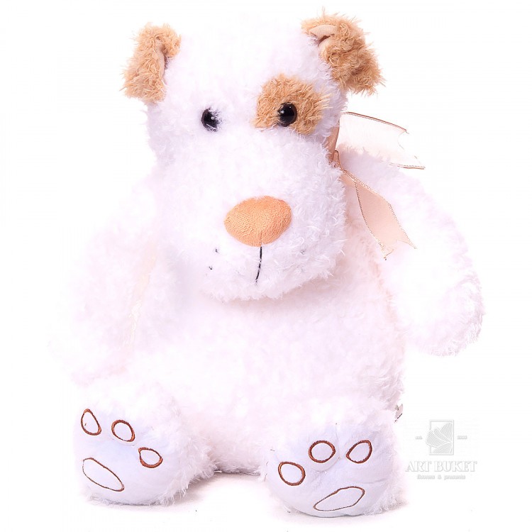 Белый пёсик