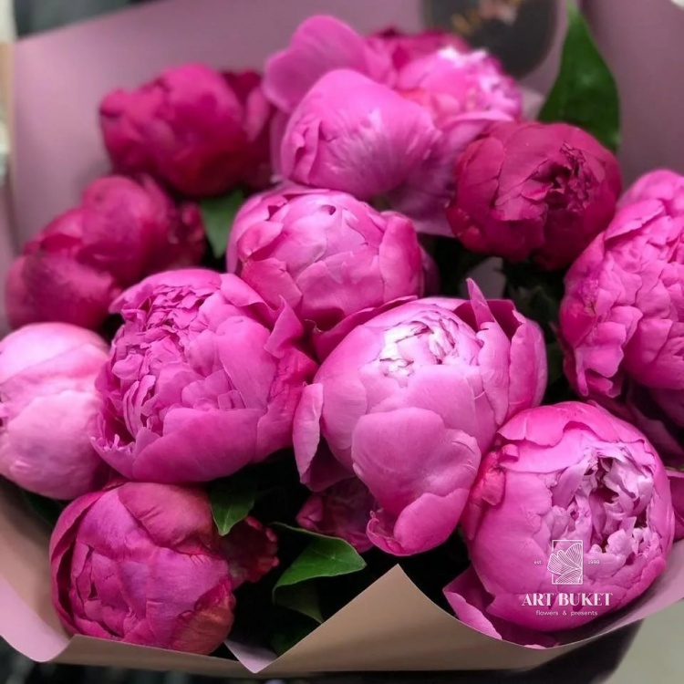 Пион ярко-розовый