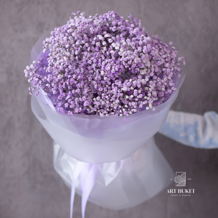 11 веток фиолетовой гипсофилы