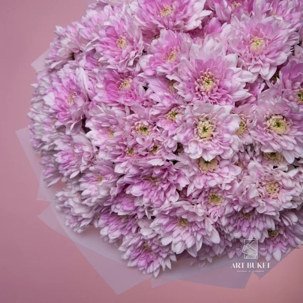 15 розовых хризантем