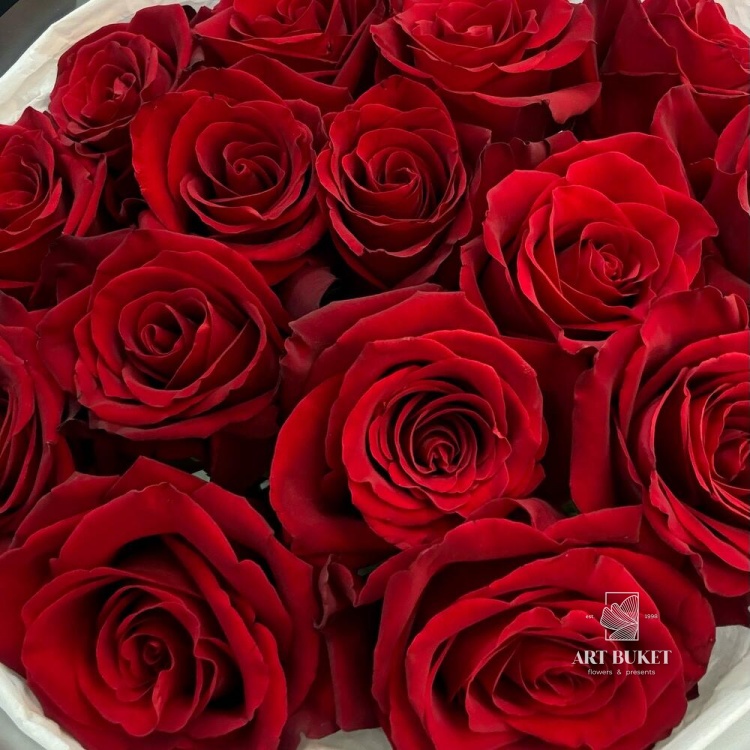 15 красных роз 40 см