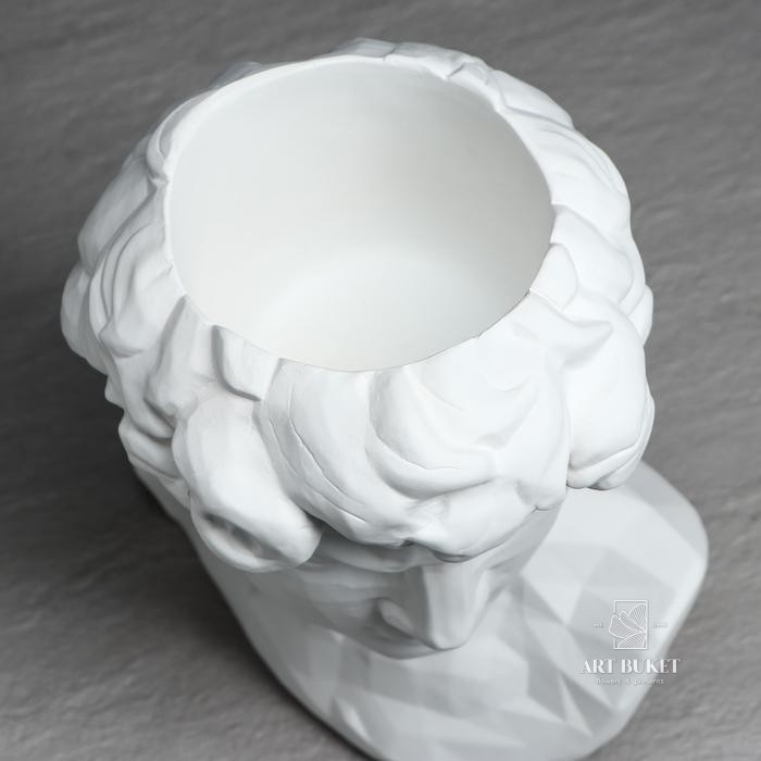 Органайзер-кашпо "Голова Давида", белый, 26 см