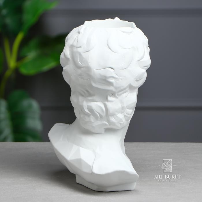 Органайзер-кашпо "Голова Давида", белый, 26 см