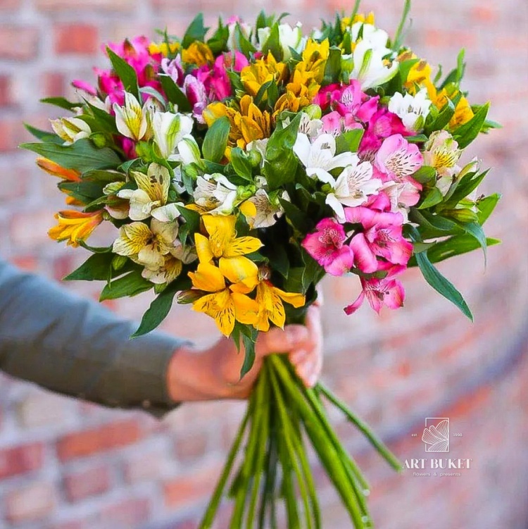 Альстромерия Микс