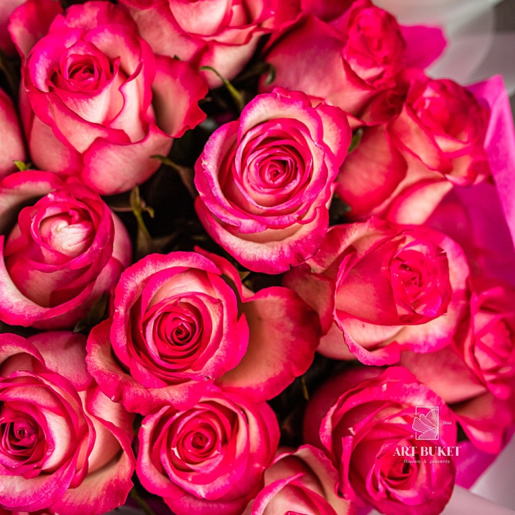 25 роз микс 40 см