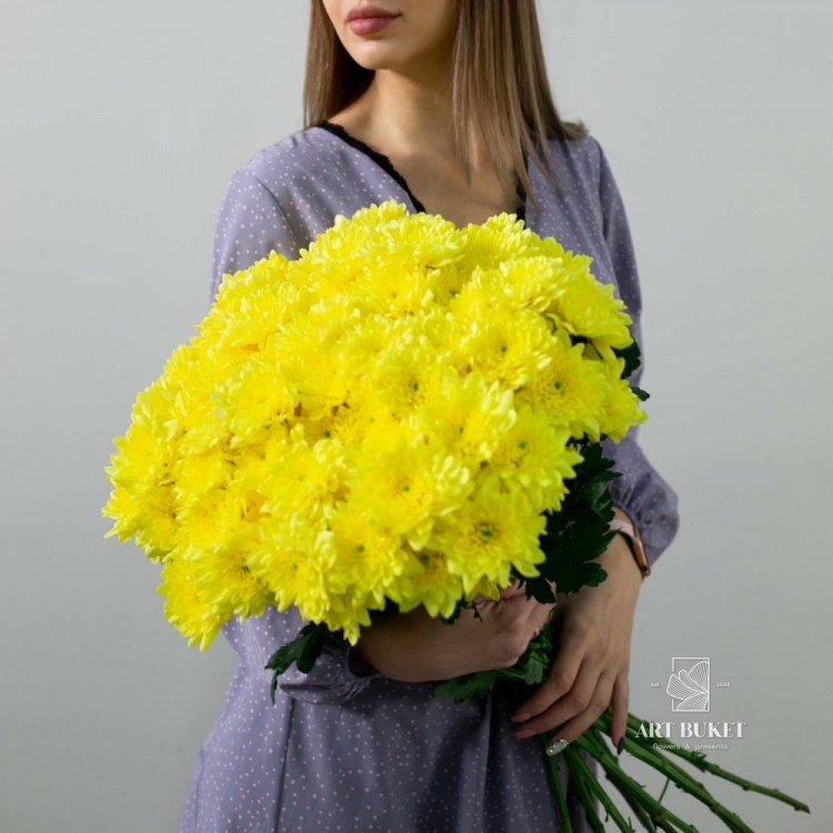 Хризантема Зембла Желтая