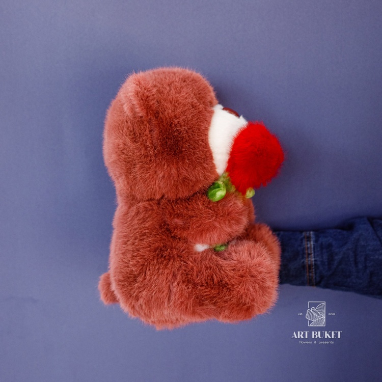 Медведь с розой микс 25 см