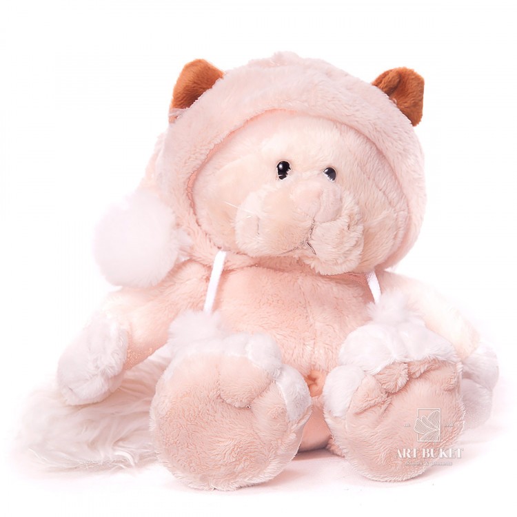 Кот бежевый в капюшоне