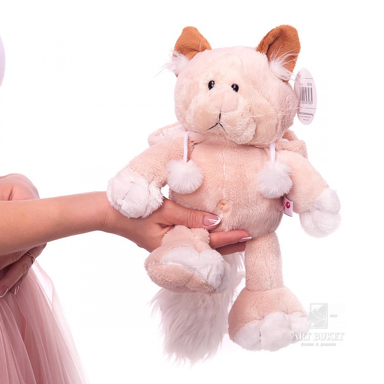 Кот бежевый в капюшоне