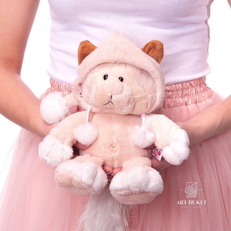 Кот бежевый в капюшоне