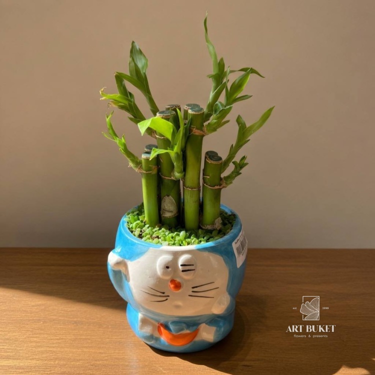 Бамбук лаки в керамике (D-11, Н-15)